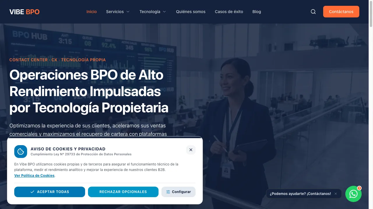 Captura de pantalla real del sitio web Vibe BPO (Demo)